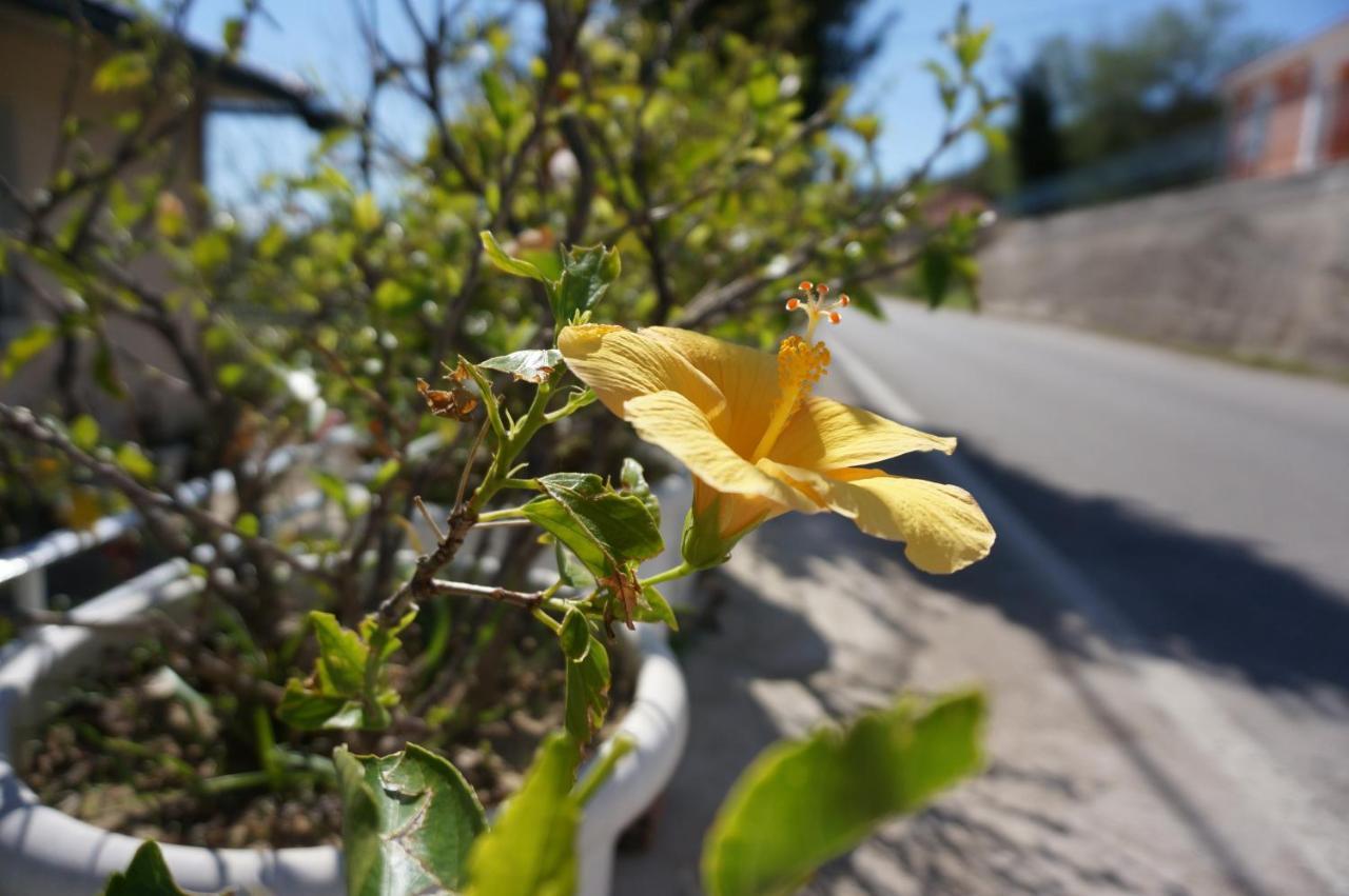 Kefalonia Sea View Cottage Ano Valtai ภายนอก รูปภาพ